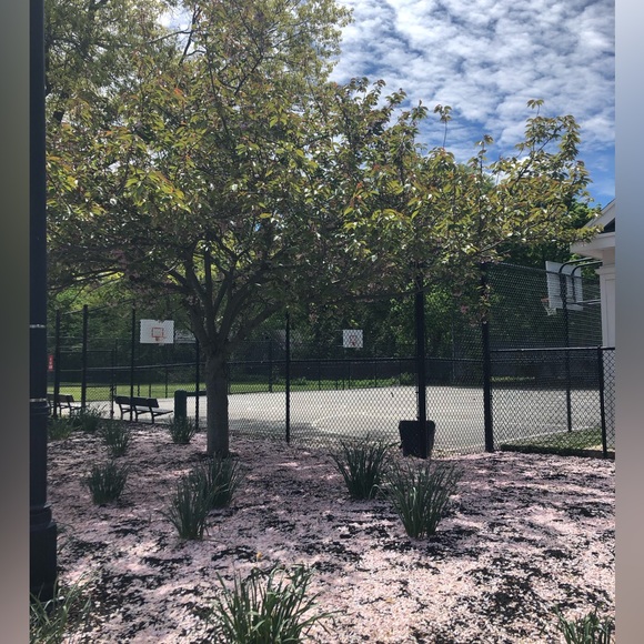 Meet your Posher, Elizabeth - Picture 5 of 8